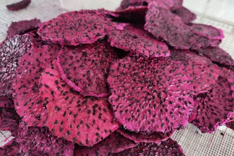 SOFT DRIED RED DRAGON FRUIT