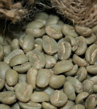 GREEN COFFEE BEANS