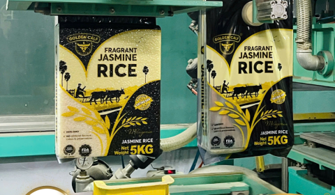 Golden Calf - Premium Vacuum - Packed Jasmine Rice