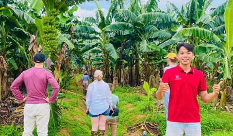 From Plantation to Processing: What International Buyers Saw Behind Sunrise Dried Fruits