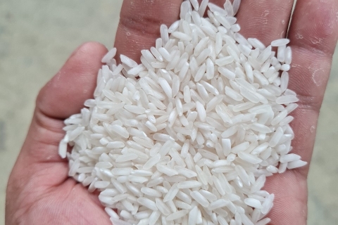 LONG GRAIN WHITE RICE 5%/15%/25%/50% BROKEN