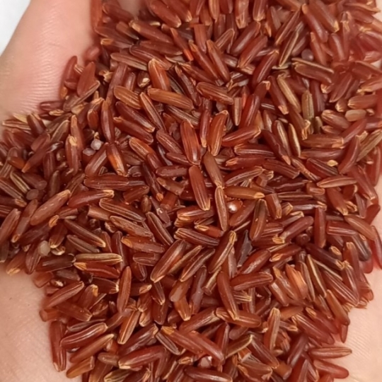 RED HEALTHY RICE